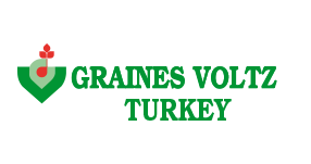 Türk profesyonel tohum – Graines Voltz Turkey